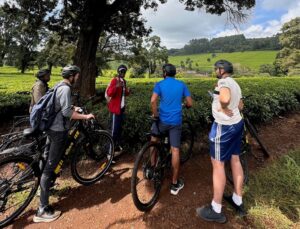 img 5379 e1740400410599